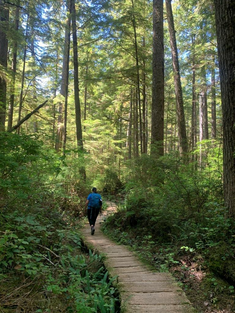 Ozette Triangle Trail