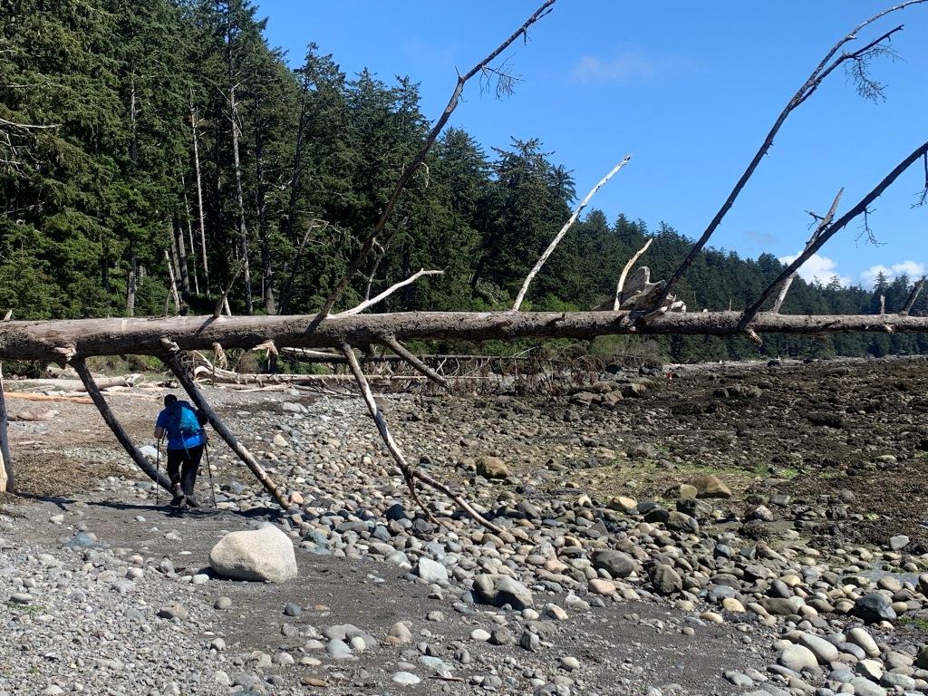Ozette Triangle Trail