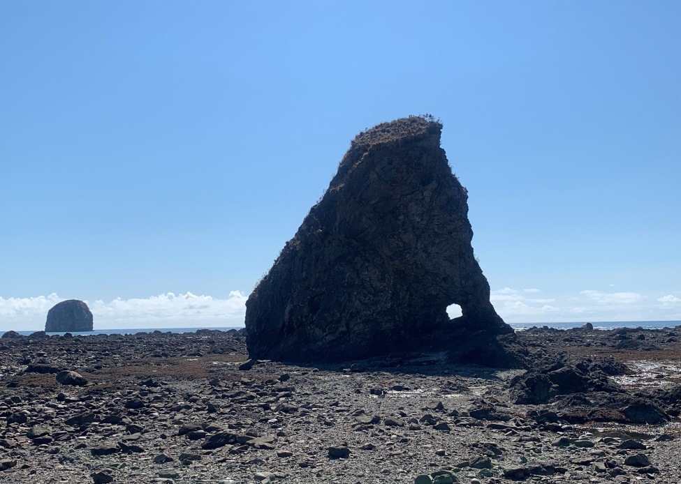 Ozette Triangle Trail