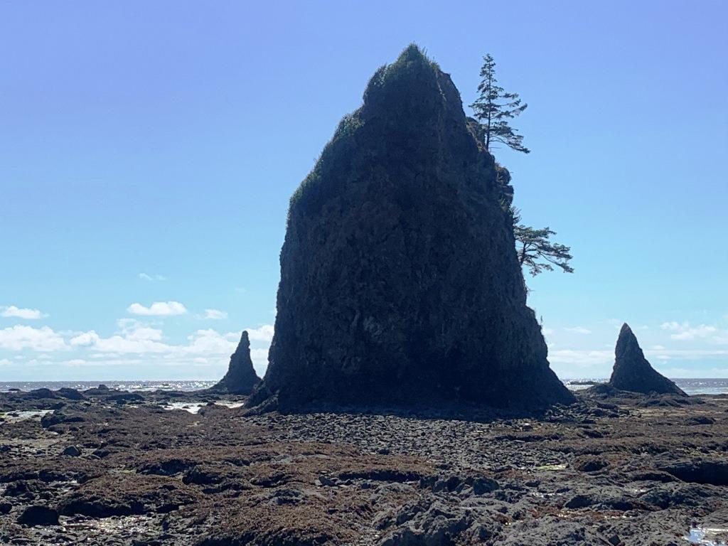 Ozette Triangle Trail