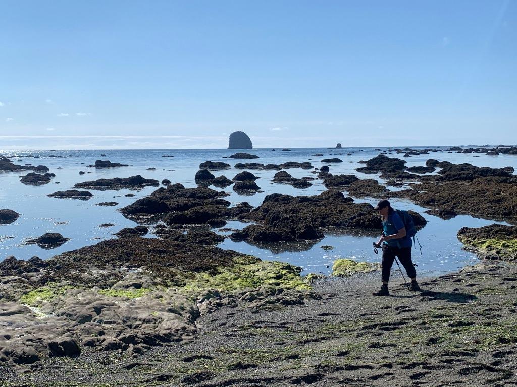Ozette Triangle Trail
