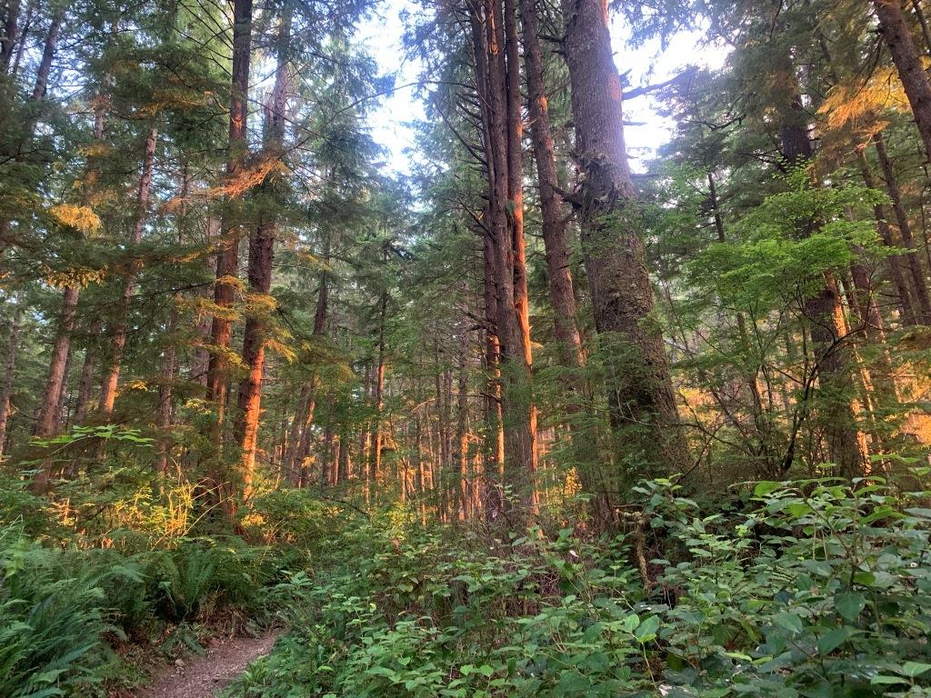 Second Beach Trail