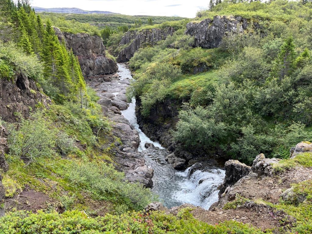 Jafnaskarðsskógur