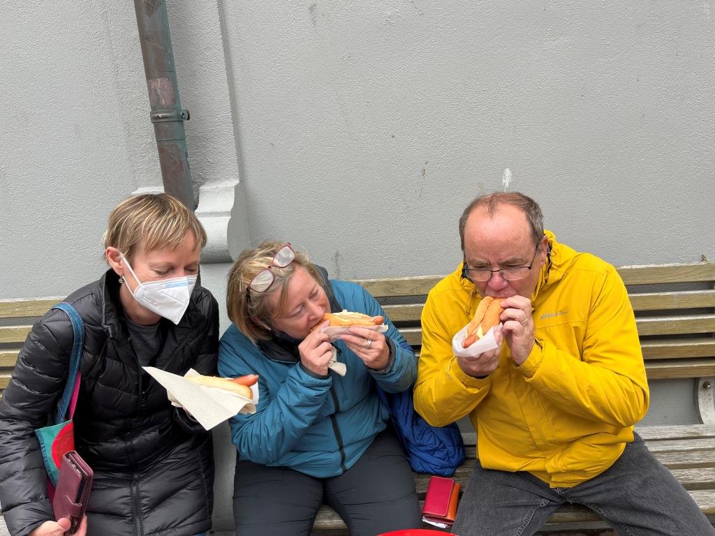 Icelandic Hot Dog