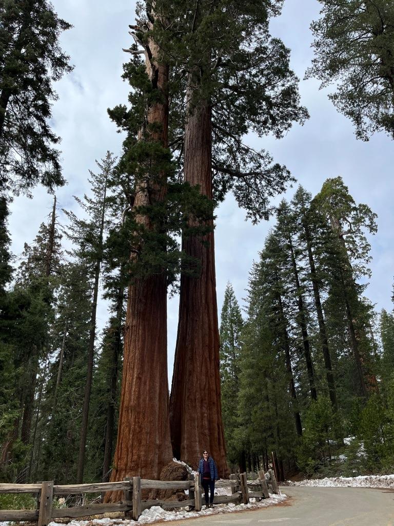 Kings Canyon National Park