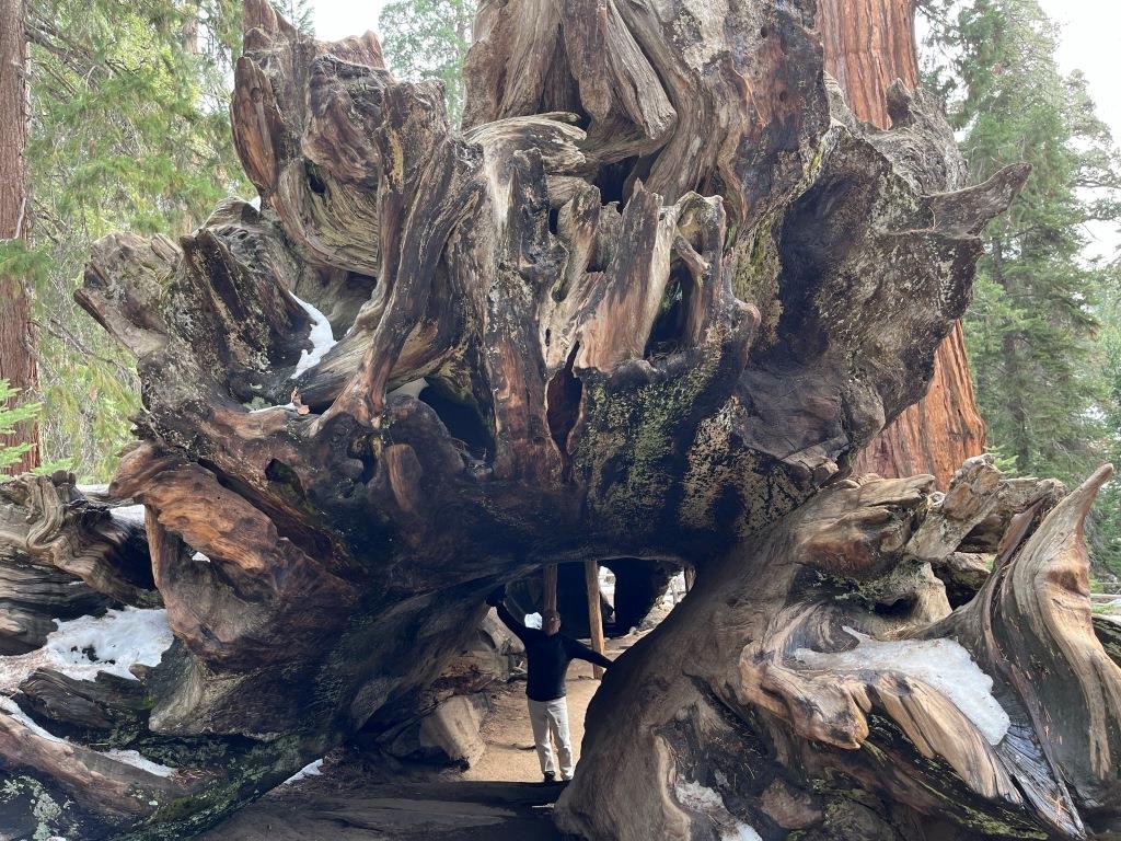 Kings Canyon National Park