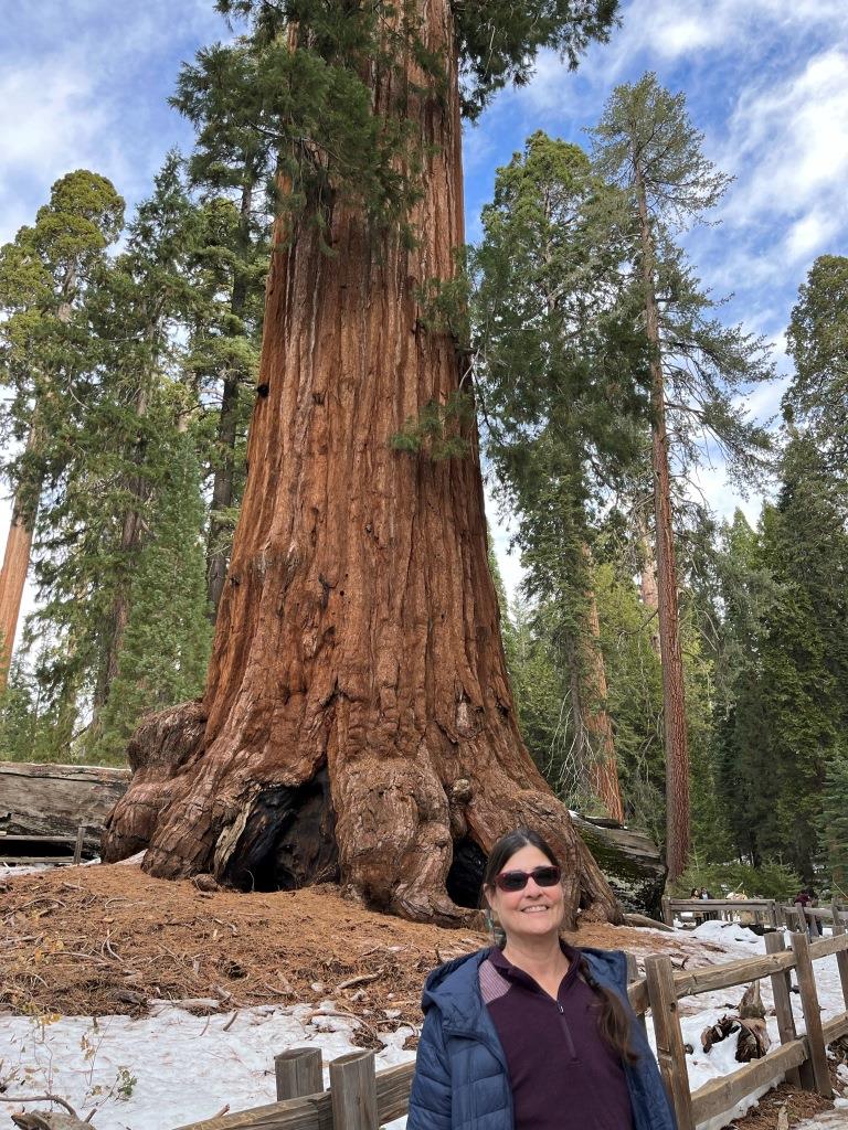 General Grants Tree Trail