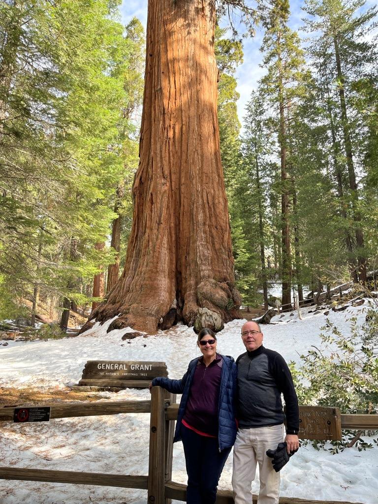 General Grant Tree