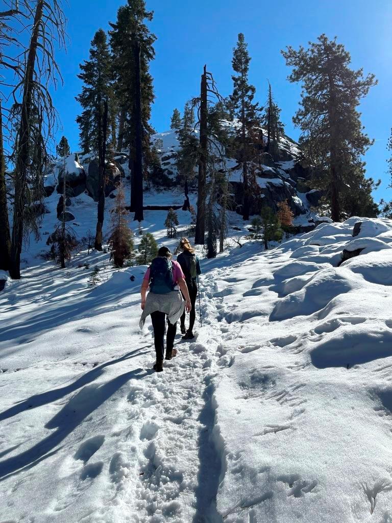 Buena Vista Trail