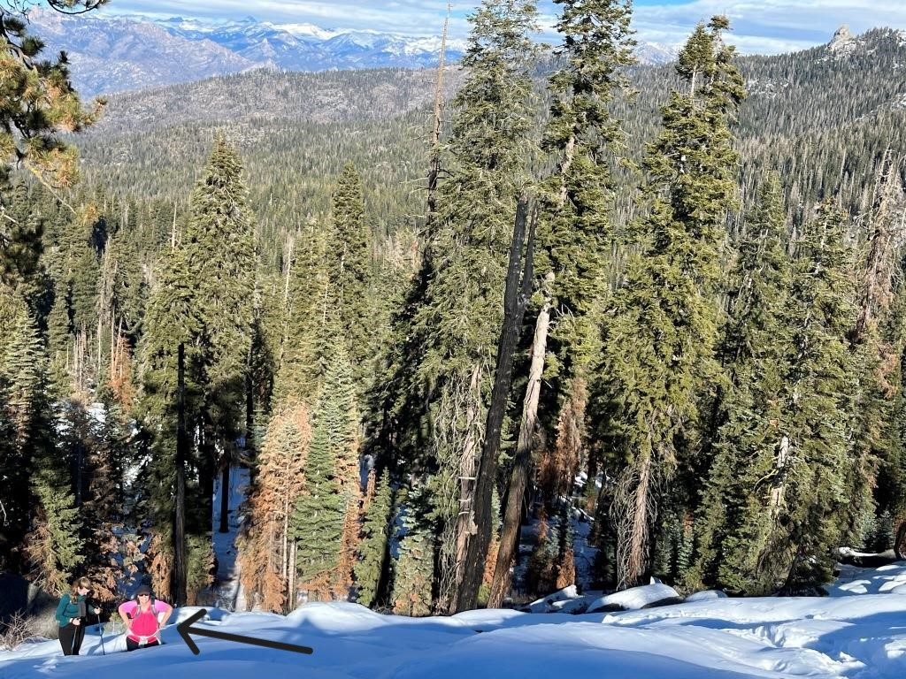 Buena Vista Trail