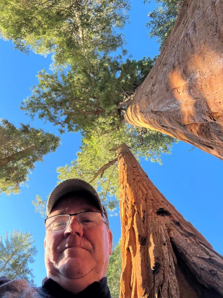 Sherman Tree Trail
