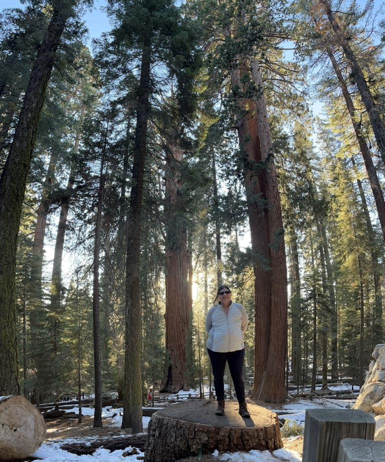 General Sherman Tree