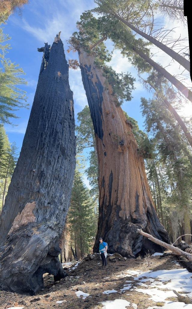 Moro Rock Trail
