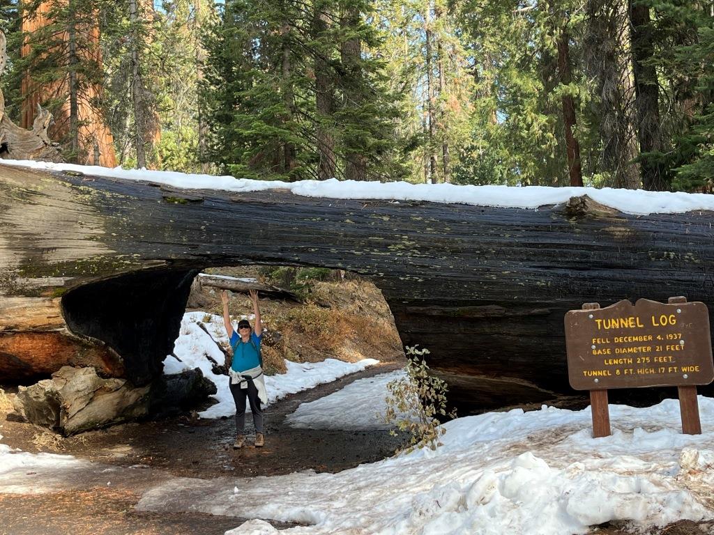 Tunnel Log