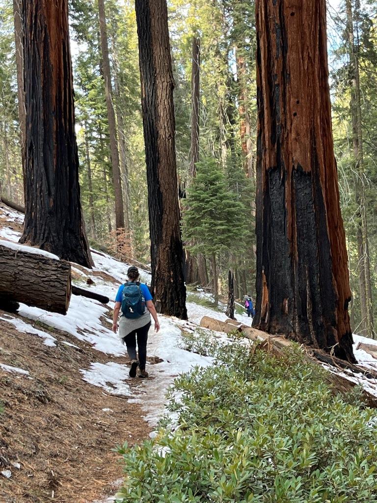 Soldiers Loop Trail
