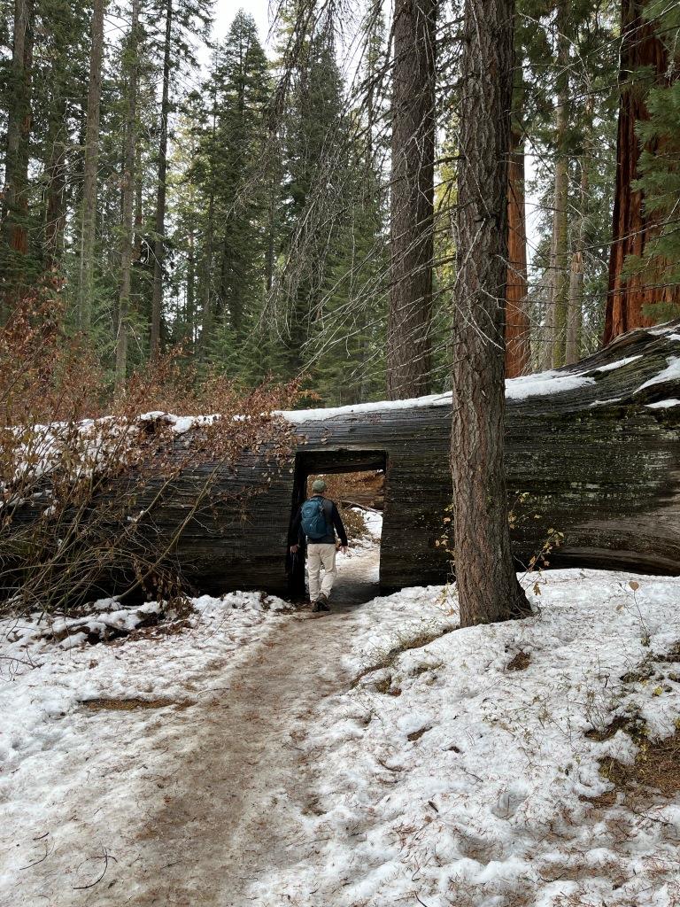 Soldiers Loop Trail