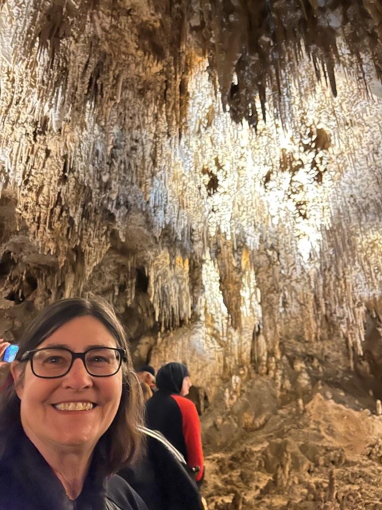 Kings Palace Tour Carlsbad Cavers