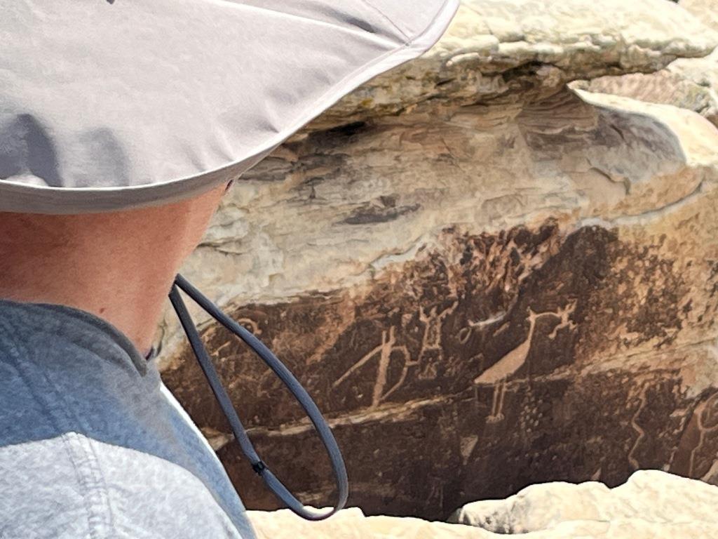 Petrified Forest Petroglyphs