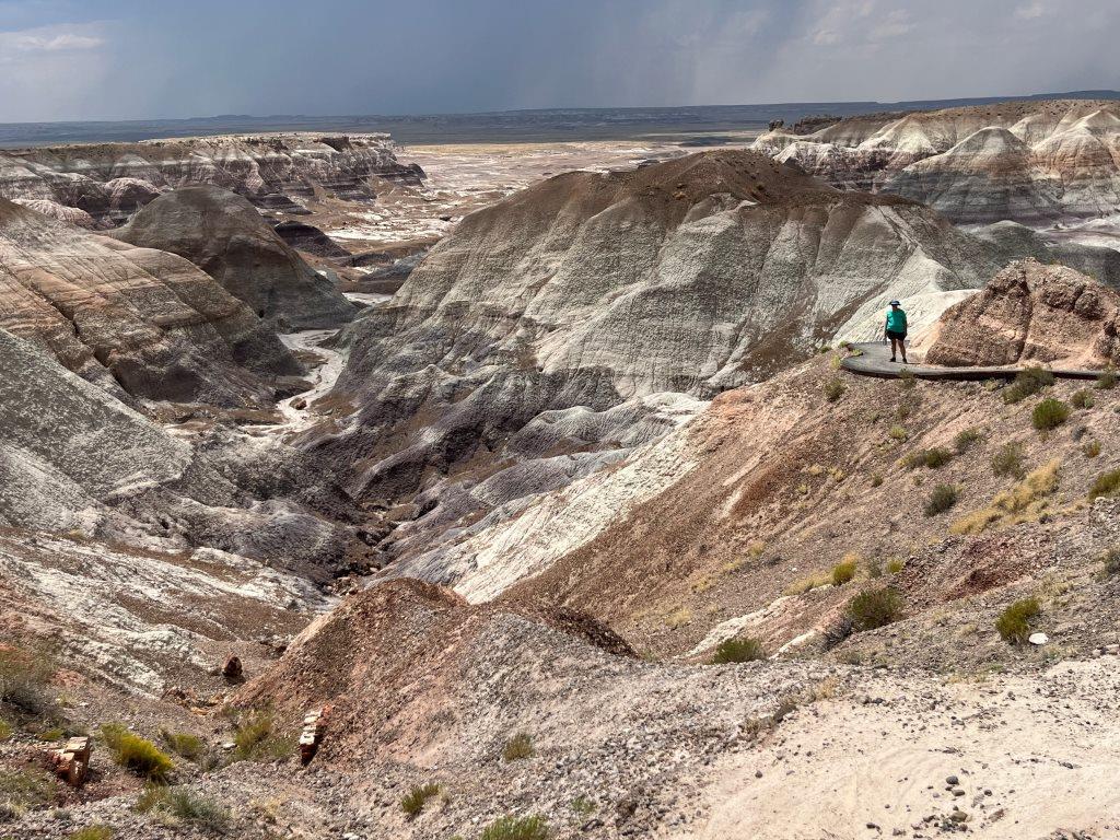 Blue Mesa Petrified Forest