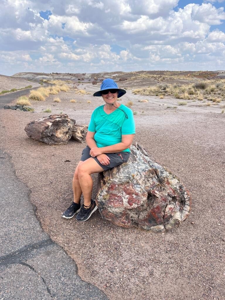 Crystal Forest Trail Petrified Forest
