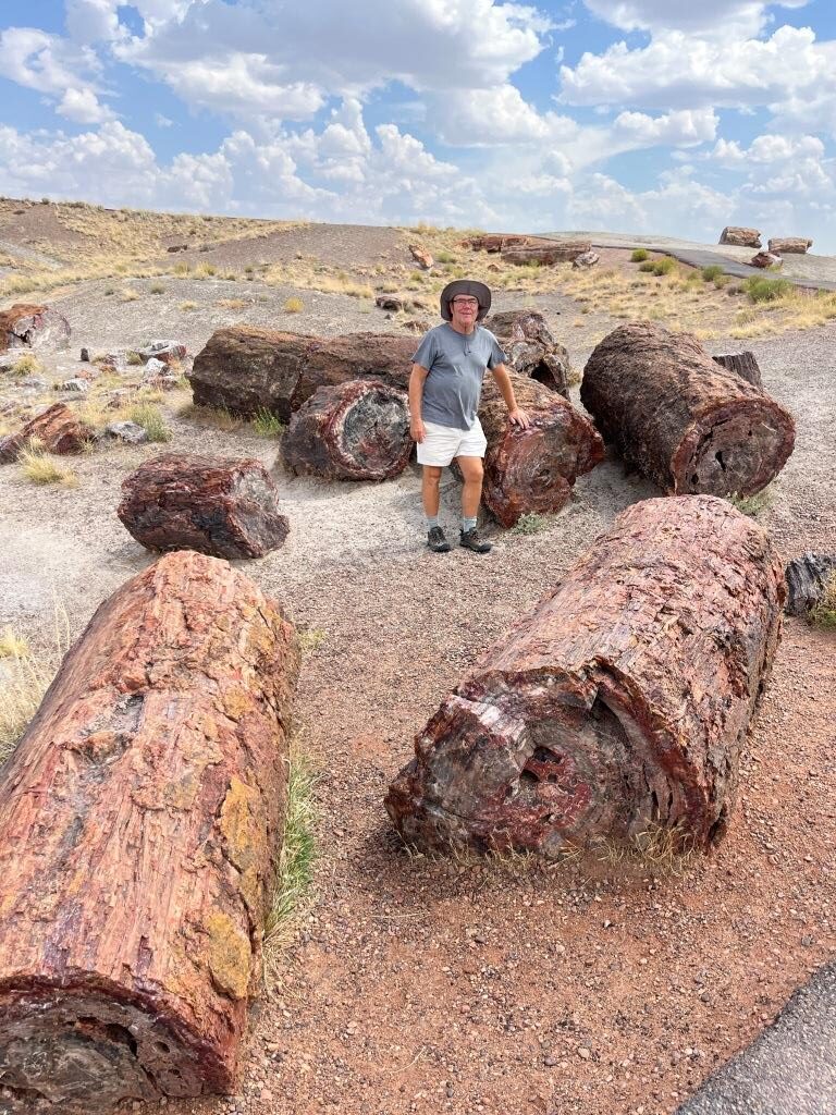 Crystal Forest Trail Petrified Forest