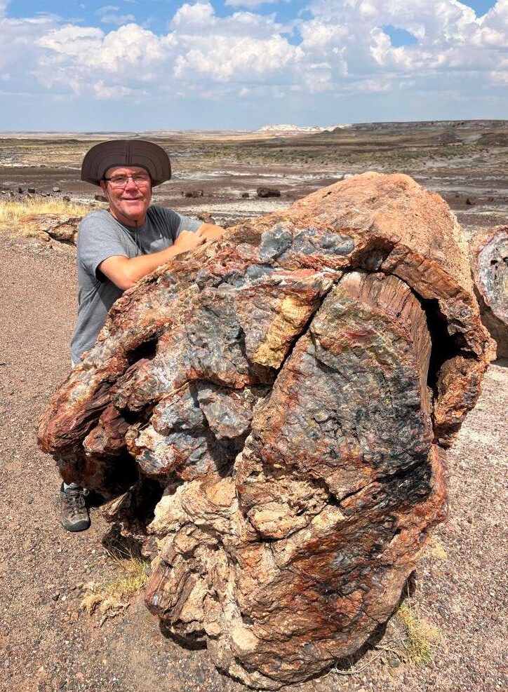 Petrified Forest