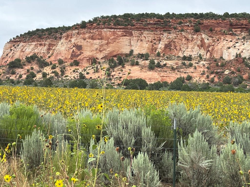 Grand Staircase Esplanade National Monument