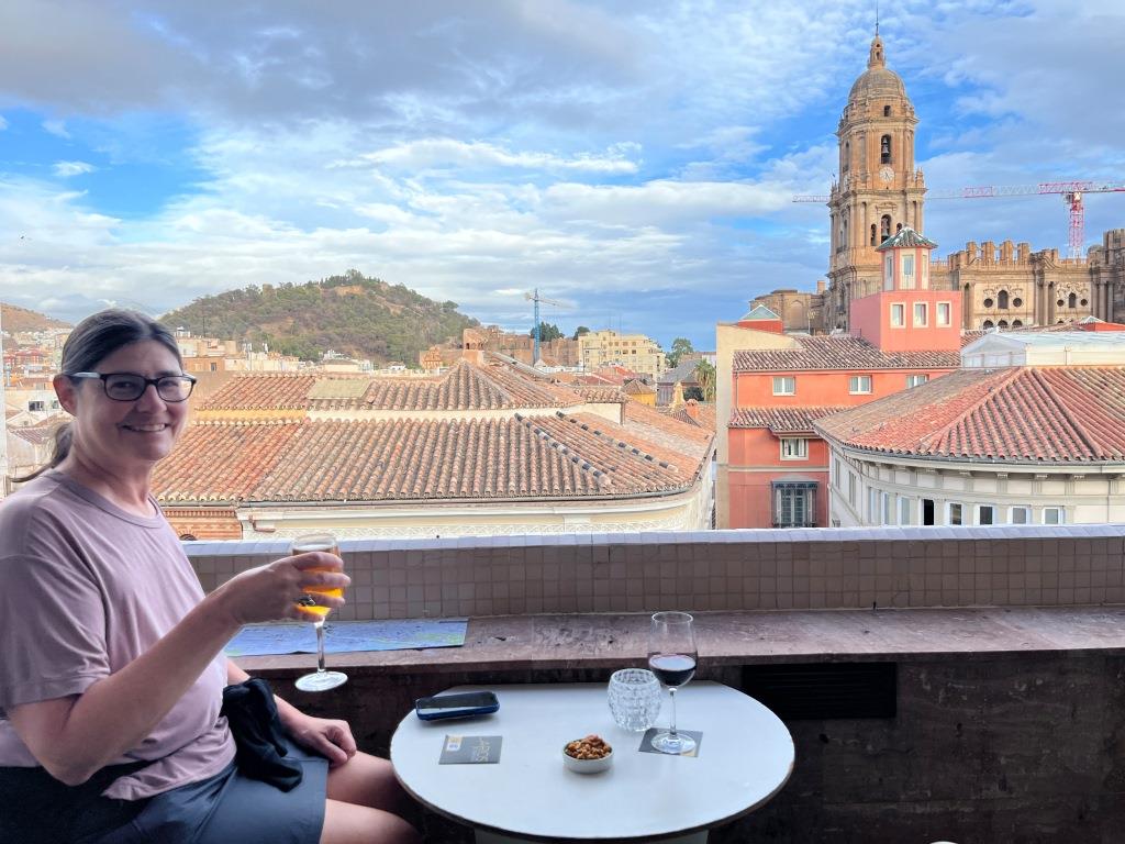 Hotel Larios rooftop bar.