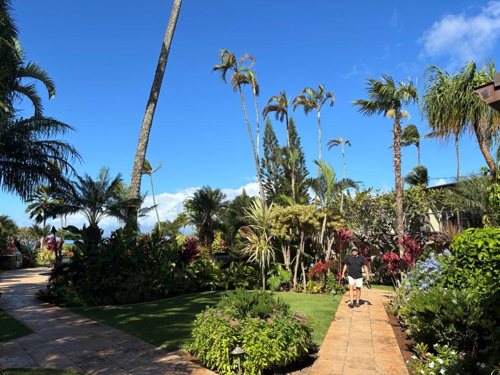 The Mauian