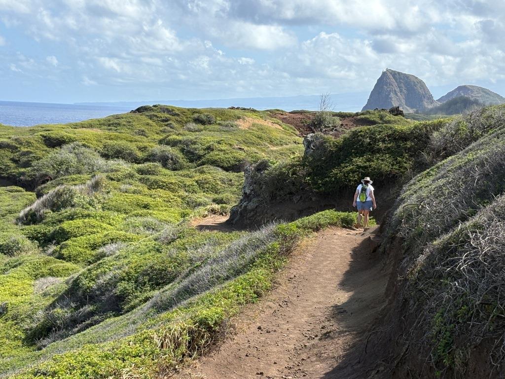 Ohai Loop Trail Maui