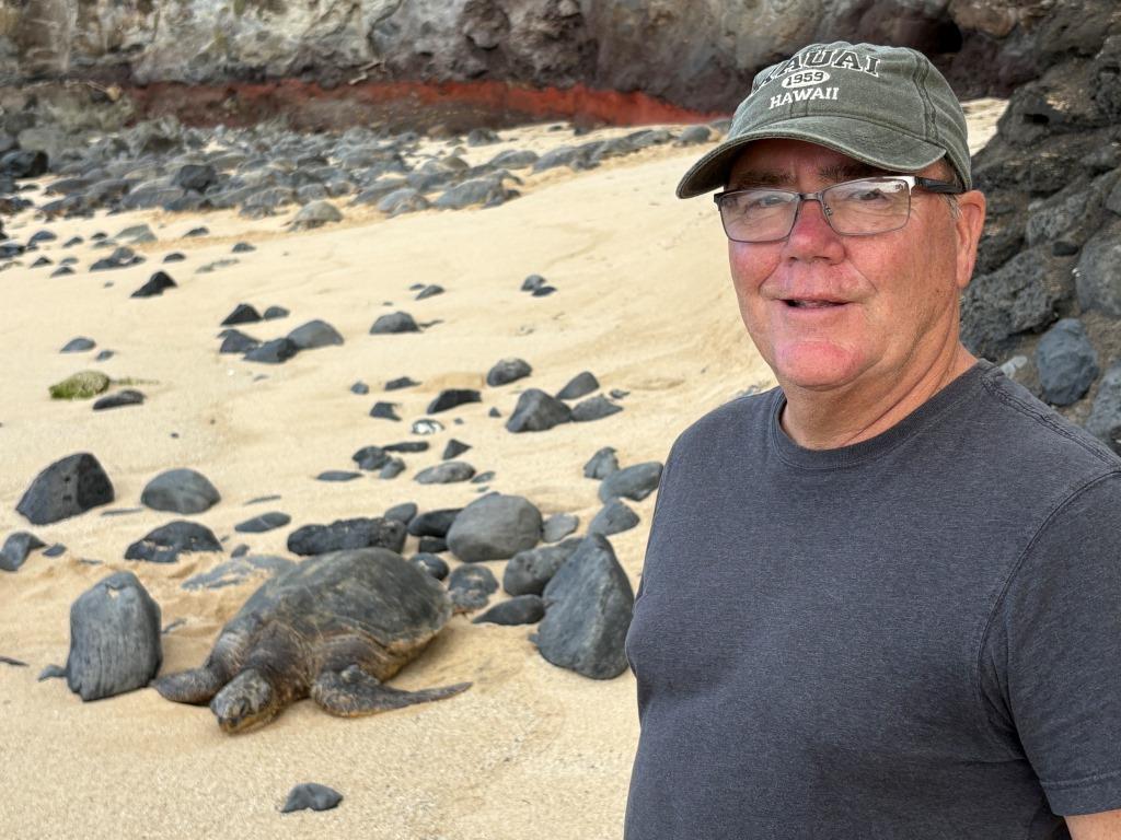 Pa'ia Maui sea turtles Hookipa Beach