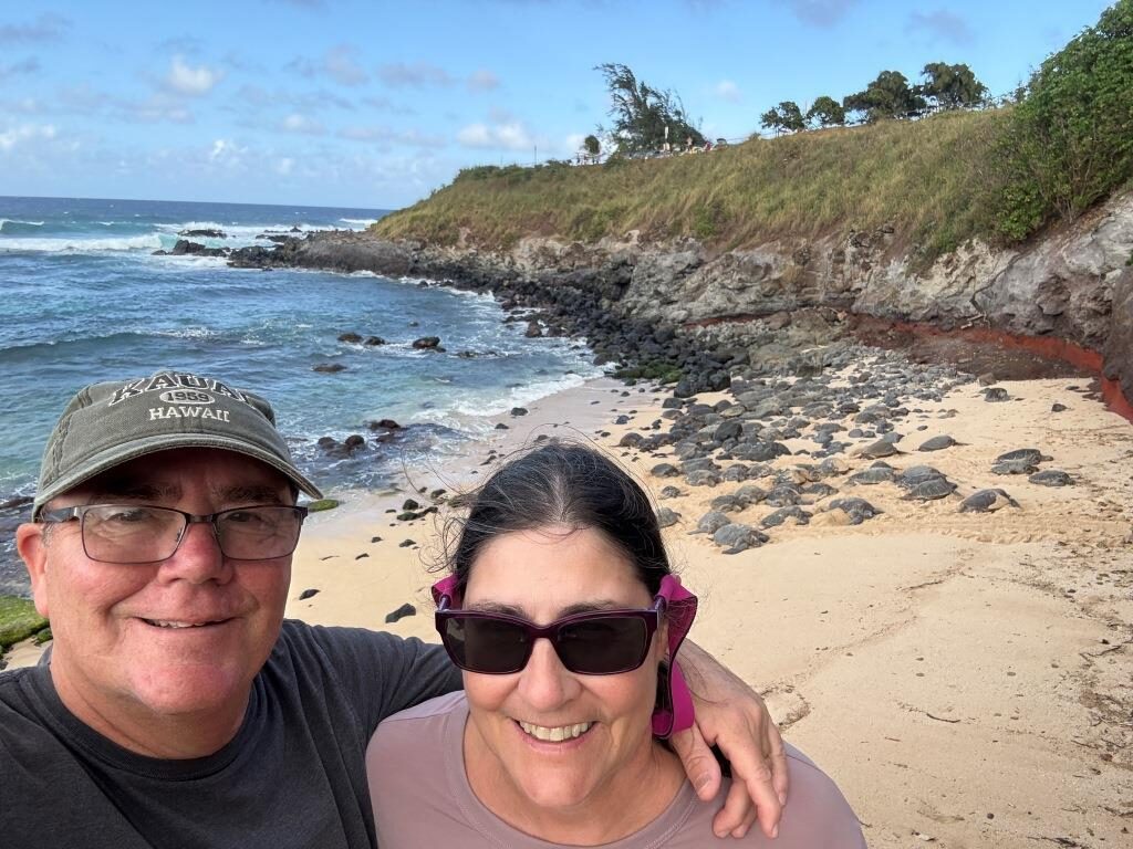Hookipa Beach Sea Turtles
